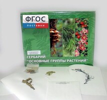 Гербарий "Основные группы растений" (52 листа) - fgospostavki.ru - Муравленко
