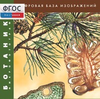 Ботаника. Микрофотографии. (Цифровая база изображений) - fgospostavki.ru - Муравленко
