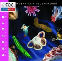 Биология. Микрофотографии. (Цифровая база изображений) - fgospostavki.ru - Муравленко