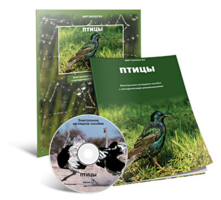 Электронное наглядное пособие «Птицы» - fgospostavki.ru - Муравленко