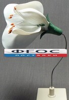 Модель "Цветок гороха" - fgospostavki.ru - Муравленко