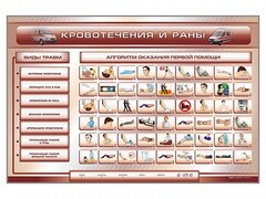 Трехсекционный базовый комплект "Травмы. Кровотечения. Ожоги" для учащихся общеобразовательных учреждений - fgospostavki.ru - Муравленко
