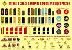 Плакат "Погоны и знаки различия военнослужащих России" - fgospostavki.ru - Муравленко