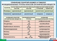 Таблица. Сравнение понятий изомер и гомолог. Функциональные группы классов органических веществ. - fgospostavki.ru - Муравленко