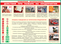 Таблица "Действия при пожаре на предприятии" (100х140 сантиметров, винил) - fgospostavki.ru - Муравленко