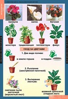 Комплект таблиц. Окружающий мир 1 класс. - fgospostavki.ru - Муравленко