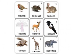 Набор магнитных карточек по музыке "Животные" (9 штук) - fgospostavki.ru - Муравленко