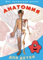DVD "Анатомия для детей" - fgospostavki.ru - Муравленко