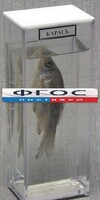 Влажный препарат "Карась" - fgospostavki.ru - Муравленко