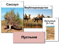 Модель-аппликация "Природные зоны России" (ламинированная) - fgospostavki.ru - Муравленко
