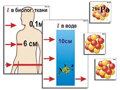 Модель-аппликация "Явление радиоактивности" (ламинированная) - fgospostavki.ru - Муравленко