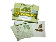 Гербарий "Дикорастущие растения" (30 видов, с иллюстрациями) - fgospostavki.ru - Муравленко