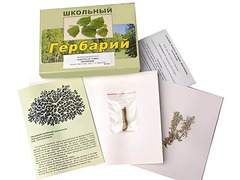 Гербарий "Водоросли. Грибы. Лишайники" (раздаточный) - fgospostavki.ru - Муравленко