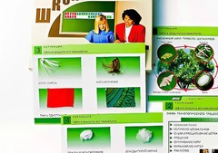 Коллекция "Шелк и продукты его переработки" (средняя школа) - fgospostavki.ru - Муравленко