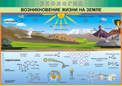 Таблица "Возникновение жизни на земле" (100х140 сантиметров, винил) - fgospostavki.ru - Муравленко