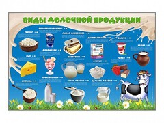 Электрифицированный стенд "Виды молочной продукции" - fgospostavki.ru - Муравленко