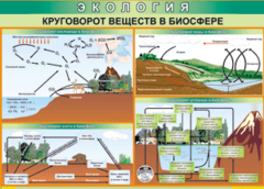 Таблица "Круговорот веществ в биосфере" (100х140 сантиметров, винил) - fgospostavki.ru - Муравленко
