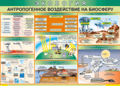 Таблица "Антропогенное воздействие на биосферу" (100х140 сантиметров, винил) - fgospostavki.ru - Муравленко