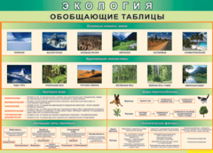Таблица "Экология. Обобщающие таблицы" (100х140 сантиметров, винил) - fgospostavki.ru - Муравленко