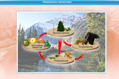 Интерактивные курсы. Биология 7 класс. Базовый. - fgospostavki.ru - Муравленко
