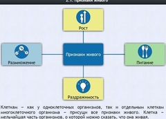 Интерактивные курсы. Биология 5 класс. Базовый - fgospostavki.ru - Муравленко