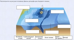 Интерактивные курсы. География 7 класс . Базовый. - fgospostavki.ru - Муравленко