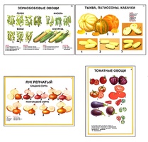 Плакаты ПРОФТЕХ "Ассортимент овощных культур" (12 пл, винил, 70х100) - fgospostavki.ru - Муравленко