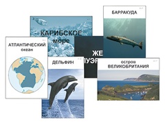Модель-аппликация "Океаны. Знакомство" (ламинированная) - fgospostavki.ru - Муравленко