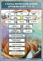 Стенд "Схема приготовления дрожжевого теста" - fgospostavki.ru - Муравленко