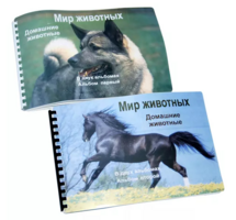Пособие для слабовидящих - Домашние животные - fgospostavki.ru - Муравленко