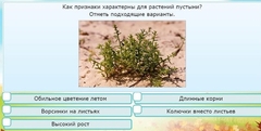 Интерактивные курсы. Окружающий мир 3 класс . Базовый. - fgospostavki.ru - Муравленко