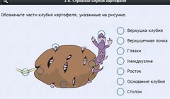 Интерактивные курсы. Биология 6 класс. Расширенный - fgospostavki.ru - Муравленко