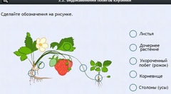 Интерактивные курсы. Биология 7 класс. Расширенный. - fgospostavki.ru - Муравленко