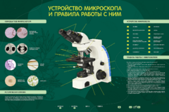 Электрифицированный стенд "Устройство микроскопа и правила работы c ним" - fgospostavki.ru - Муравленко