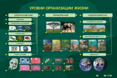 Электрифицированный стенд "Уровни организации жизни" - fgospostavki.ru - Муравленко
