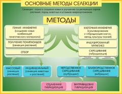 Стенд "Методы селекции и биотехнологии" - fgospostavki.ru - Муравленко