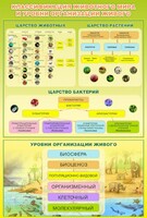 Стенд "Классификация животного мира" - fgospostavki.ru - Муравленко