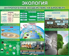 Стенд "Экология. Антропогенное воздействие на биосферу" - fgospostavki.ru - Муравленко
