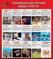 Стенд "Олимпийские летние виды спорта" - fgospostavki.ru - Муравленко