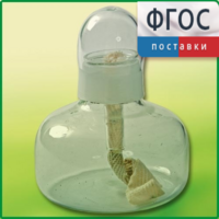 Спиртовка демонстрационная - fgospostavki.ru - Муравленко