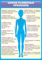 Стенд "Снятие мерок" Вариант 2 - fgospostavki.ru - Муравленко
