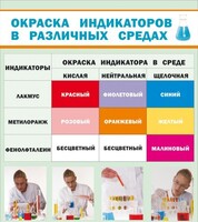 Стенд "Окраска индикаторов в различных средах" - fgospostavki.ru - Муравленко