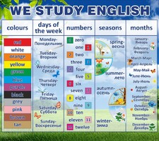 Стенд "We study english" - fgospostavki.ru - Муравленко