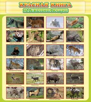 Стенд "Красная книга - млекопитающие" - fgospostavki.ru - Муравленко
