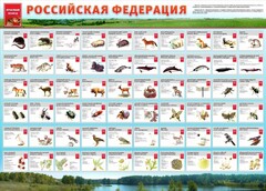 Стенд "Красная книга РФ" - fgospostavki.ru - Муравленко