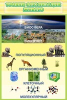 Стенд "Уровни организации живого" - fgospostavki.ru - Муравленко