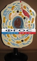 Модель "Клетка животного" - fgospostavki.ru - Муравленко