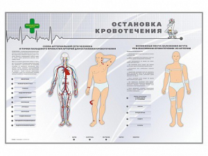 Электрифицированный стенд "Остановка кровотечения" - fgospostavki.ru - Муравленко