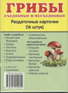 Раздаточные карточки "Грибы съедобные и не съедобные" - fgospostavki.ru - Муравленко