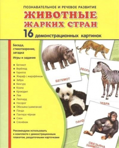 Демонстрационные карточки "Животные жарких стран" - fgospostavki.ru - Муравленко